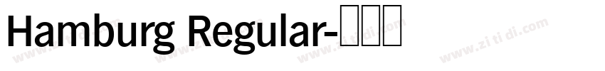 Hamburg Regular字体转换